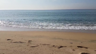 Sand, Beach, Ocean, Sea, Sandbar, Water