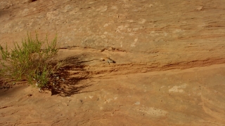 Sand, Desert, Rock, Ancient, Old, Stone