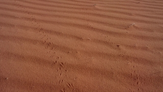 Sand, Dune, Soil, Earth, Texture, Brown