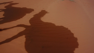 Sand, Dune, Soil, Sunset, Water, Sun