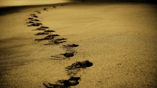 Sand, Soil, Earth, Beach, Sea, Ocean