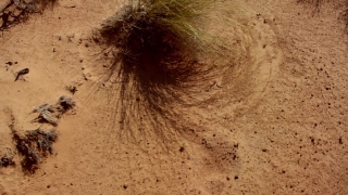 Sand, Soil, Earth, Old, Texture, Ancient