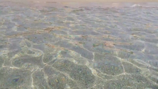 Sand, Water, Ocean, Sea, Beach, Stingray