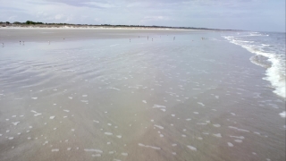 Sandbar, Barrier, Bar, Ridge, Beach, Sea