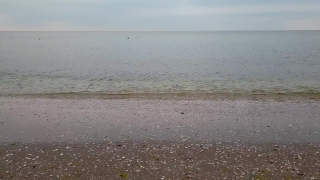 Sandbar, Beach, Bar, Ocean, Sea, Sand