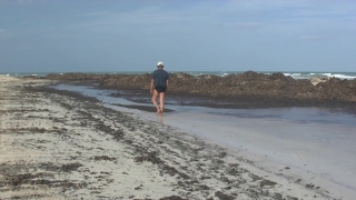 Sandbar, Beach, Bar, Sea, Sand, Barrier