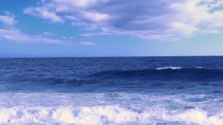 Sea, Ocean, Body Of Water, Water, Beach, Sky