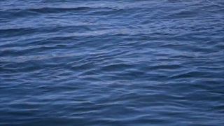 Sea, Ocean, Body Of Water, Water, Seascape, Sky