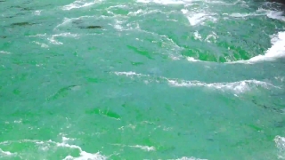 Sea, Ocean, Reef, Water, Coral Reef, Beach