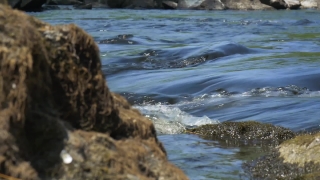 Sea, Ocean, Water, Beach, Coast, Rock