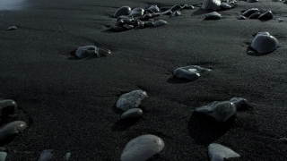 Sea Turtle, Turtle, Stone, Pebble, Sand, Stones