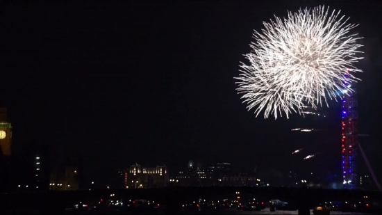 Sea Urchin, Echinoderm, Fireworks, Night, Invertebrate, Firework