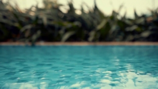 Sea, Water, Ocean, Beach, Travel, Summer