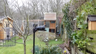 Shed, Apiary, Building, House, Structure, Outbuilding