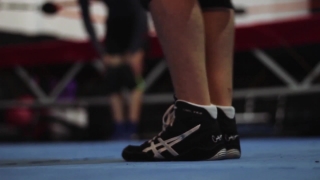 Shoe, Lace, Skateboard, Footwear, Shoes, Wheeled Vehicle