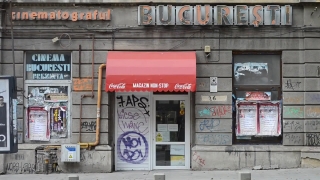 Shop, Mercantile Establishment, Place Of Business, Barbershop, Bookshop, Building