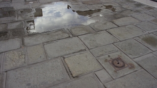 Sidewalk, Stone, Texture, Tile, Pattern, Wall
