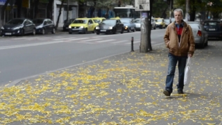 Sidewalk, Street, City, People, Person, Man