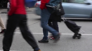 Skate, Man, People, Business, Men, Male