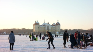 Skate, Palace, Building, City, Architecture, Tourist