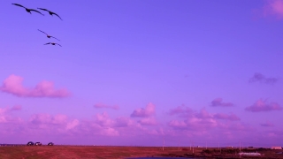 Sky, Atmosphere, Clouds, Cloud, Sun, Weather