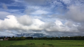 Sky, Atmosphere, Field, Grass, Meadow, Rural