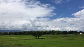 Sky, Atmosphere, Field, Meadow, Grass, Landscape