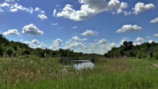 Sky, Atmosphere, Lake, Landscape, Water, Forest