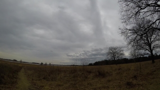 Sky, Atmosphere, Landscape, Field, Tree, Clouds