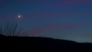 Sky, Atmosphere, Landscape, Forest, Tree, Cloud