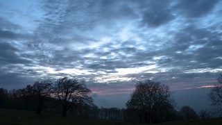 Sky, Atmosphere, Landscape, Tree, Clouds, Trees