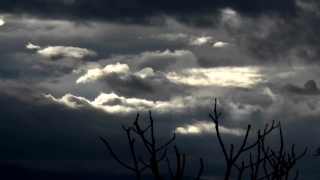 Sky, Atmosphere, Tree, Clouds, Sun, Landscape