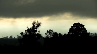 Sky, Atmosphere, Tree, Lighting, Landscape, Sun