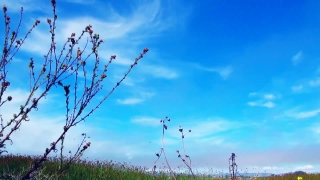 Sky, Electricity, Atmosphere, Power, Antenna, Energy
