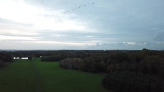 Sky, Field, Landscape, Grass, Meadow, Land