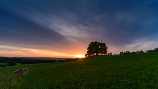 Sky, Grass, Field, Meadow, Landscape, Atmosphere