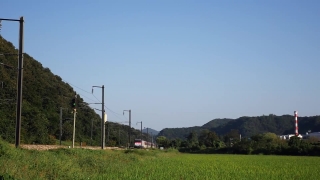 Sky, Landscape, Field, Grass, Tree, Meadow