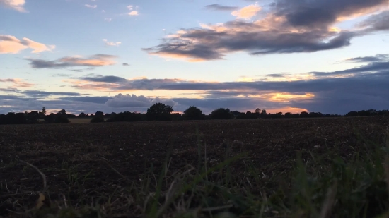 Sky, Sunset, Landscape, Sun, Atmosphere, Tree