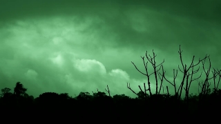 Sky, Tree, Atmosphere, Sun, Landscape, Branch