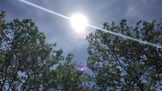 Sky, Tree, Clouds, Landscape, Sun, Forest