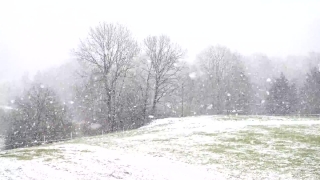 Snow, Ice, Weather, Winter, Cold, Frost
