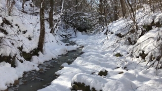 Snow, Ice, Weather, Winter, Cold, Landscape