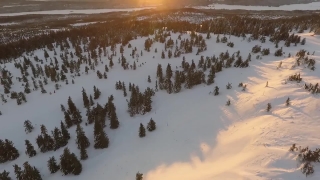 Snow, Ice, Winter, Cold, Landscape, Forest