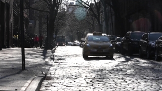 Snow, Sidewalk, Winter, Weather, Trees, Road