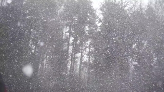 Snow, Weather, Ice, Winter, Cold, Frost