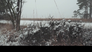 Snow, Weather, Sky, Landscape, Tree, Winter