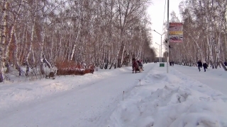 Snow, Weather, Winter, Cold, Frost, Landscape