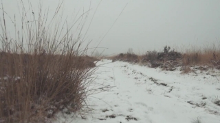 Snow, Weather, Winter, Cold, Landscape, Frost