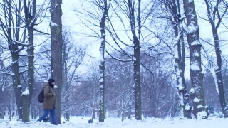 Snow, Weather, Winter, Forest, Tree, Cold