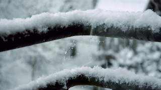 Snow, Weather, Winter, Ice, Cold, Frost